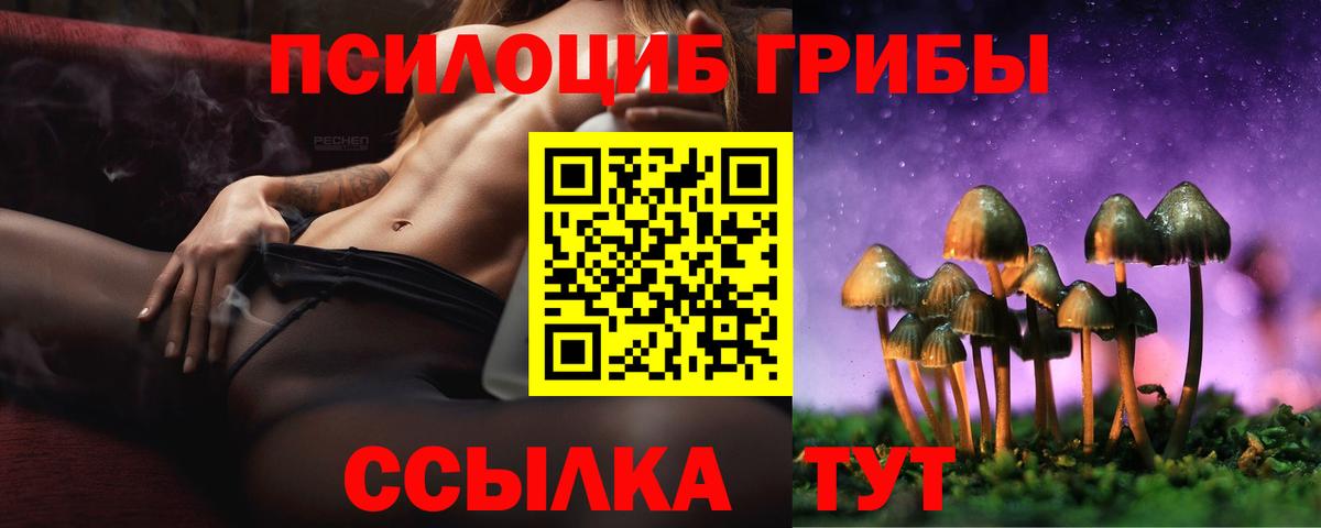 Борисоглебск  закладка  Вход с VPN  Галлюциногенные грибы мицелий 